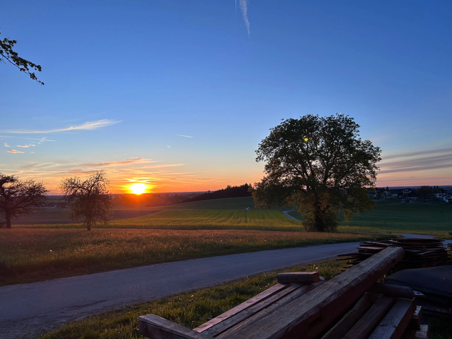 Streicheleinheiten