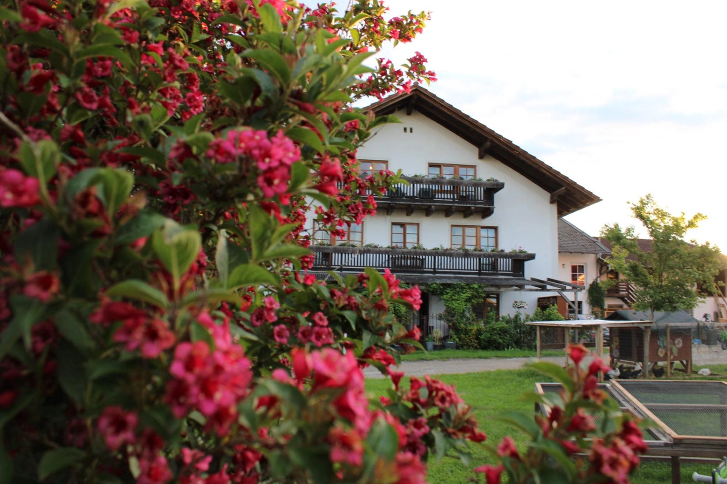 Streicheleinheiten