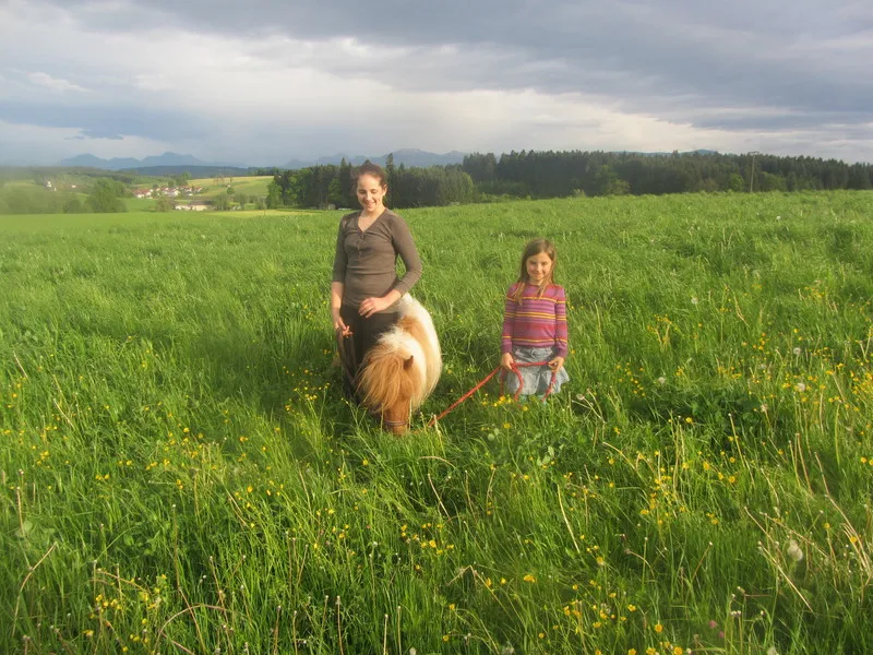 S Voit Erlebnisbauernhof, Pony im Weidebetrieb