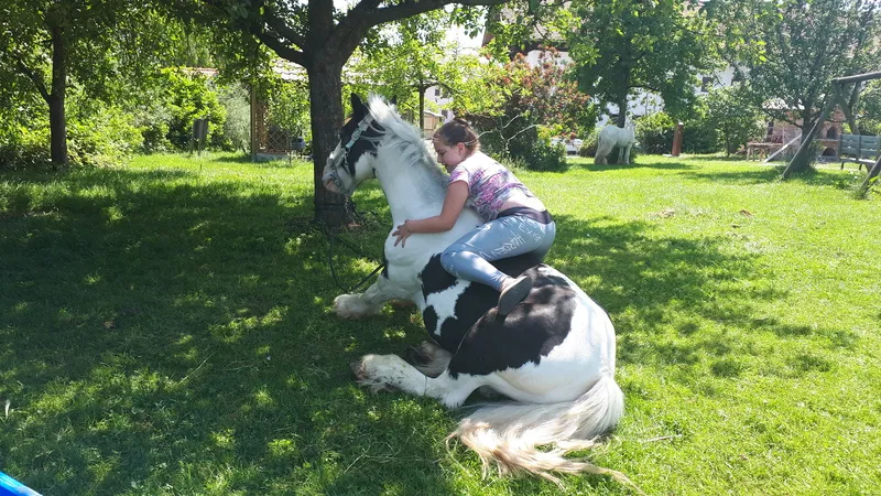 S Voit Erlebnisbauernhof, ein Mädchen sitzt auf einem Pferd