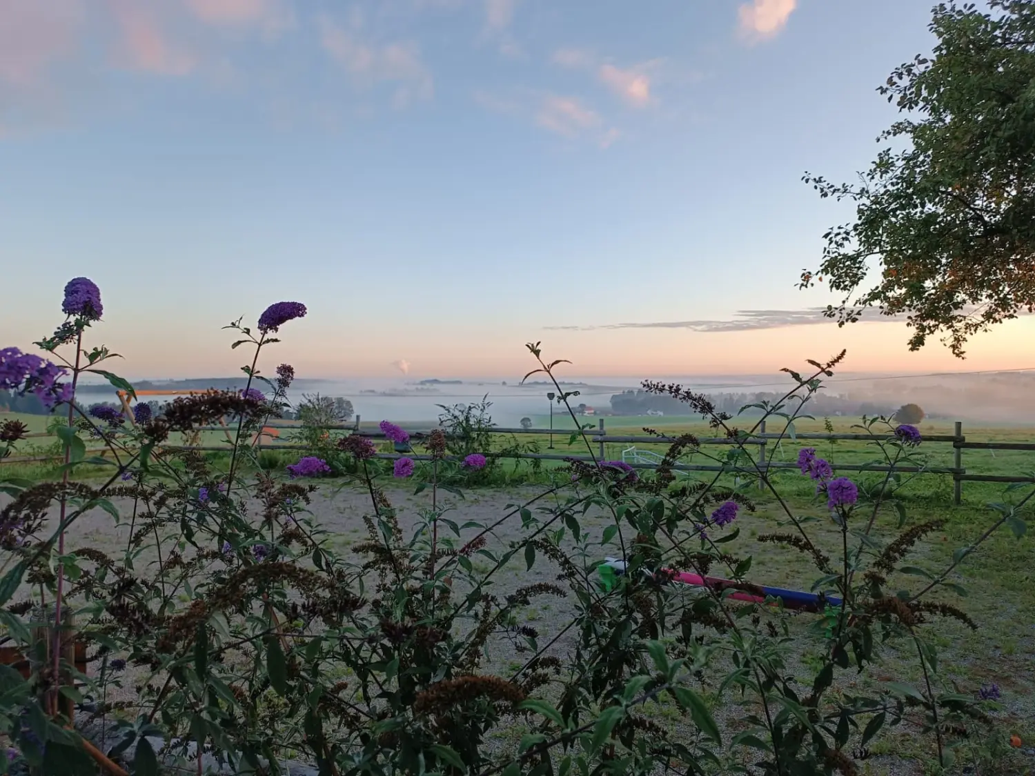 S Voit Erlebnisbauernhof, Blumen