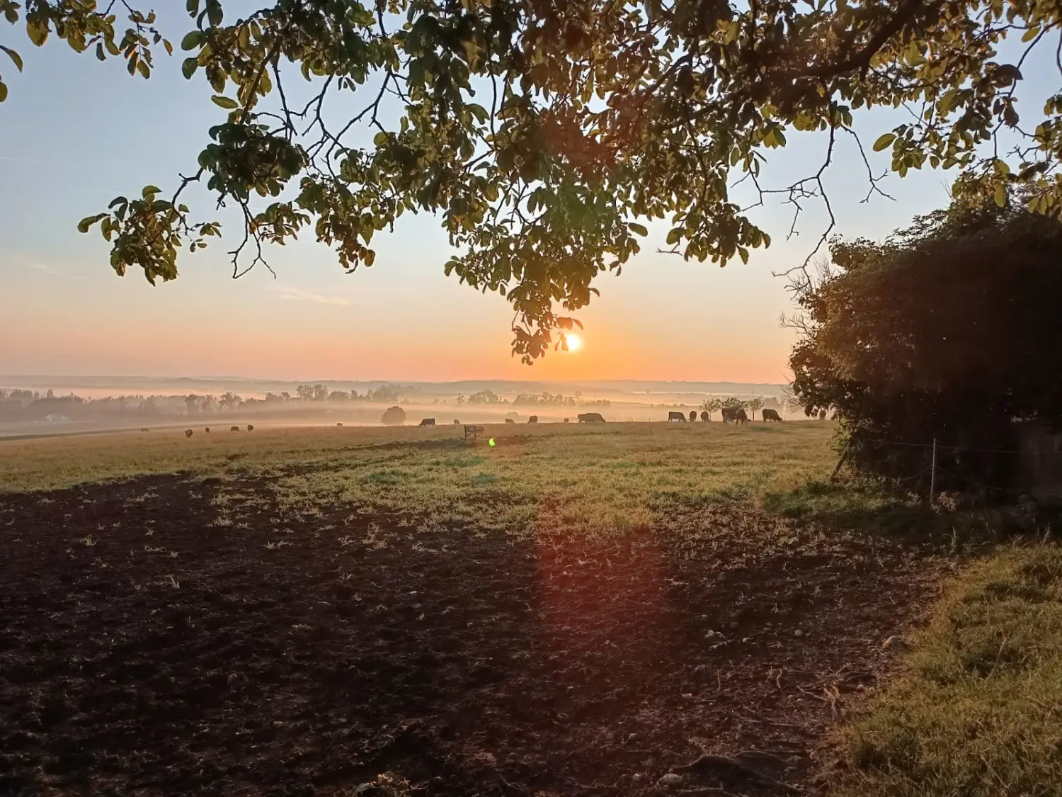 S Voit Erlebnisbauernhof, Sonnenuntergang auf dem Bauernhof