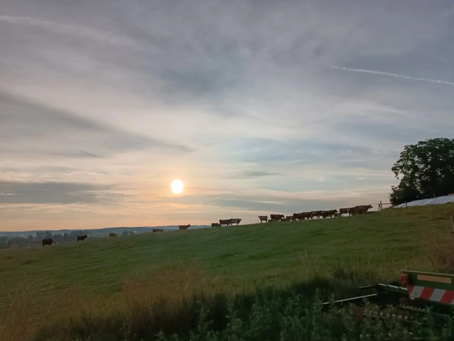 S Voit Erlebnisbauernhof, Sonnenuntergang