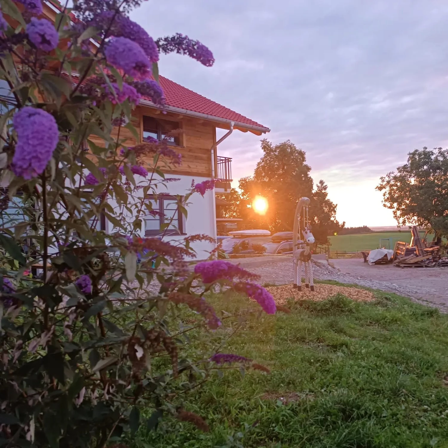 S Voit Erlebnisbauernhof, Kinder springen im Gras